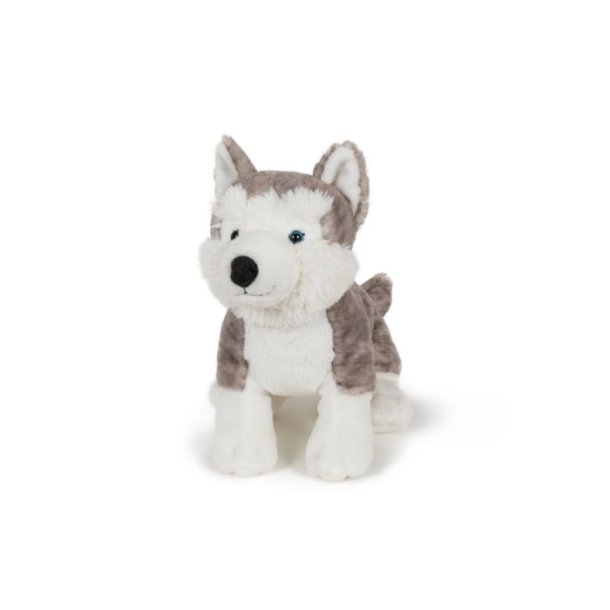 Bamse Hund, lys, Stor