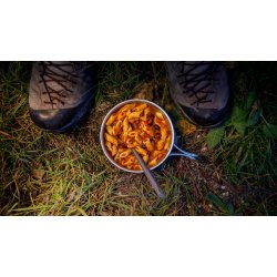 Trail Organic Food kologisk frysetrret Mad Vegan Ratatouille with pasta