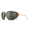 Spectron 3 Polarized, SHINY TRANSLUCENT - Translucent Brown / Khaki / Orange